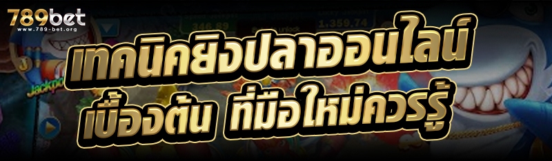 เทคนิคยิงปลาออนไลน์ เบื้องต้น ที่มือใหม่ควรรู้