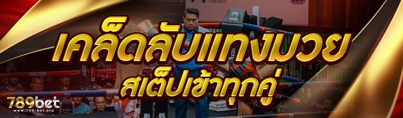 เคล็ดลับแทงมวยสเต็ปเข้าทุกคู่